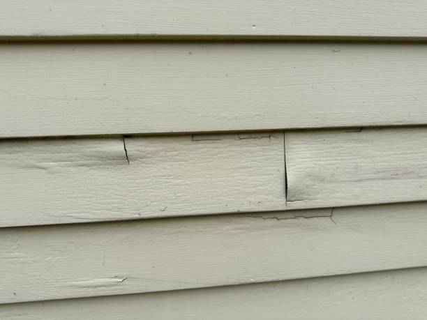 Affordable Siding Repair and Maintenance Services in Brazoria, TX